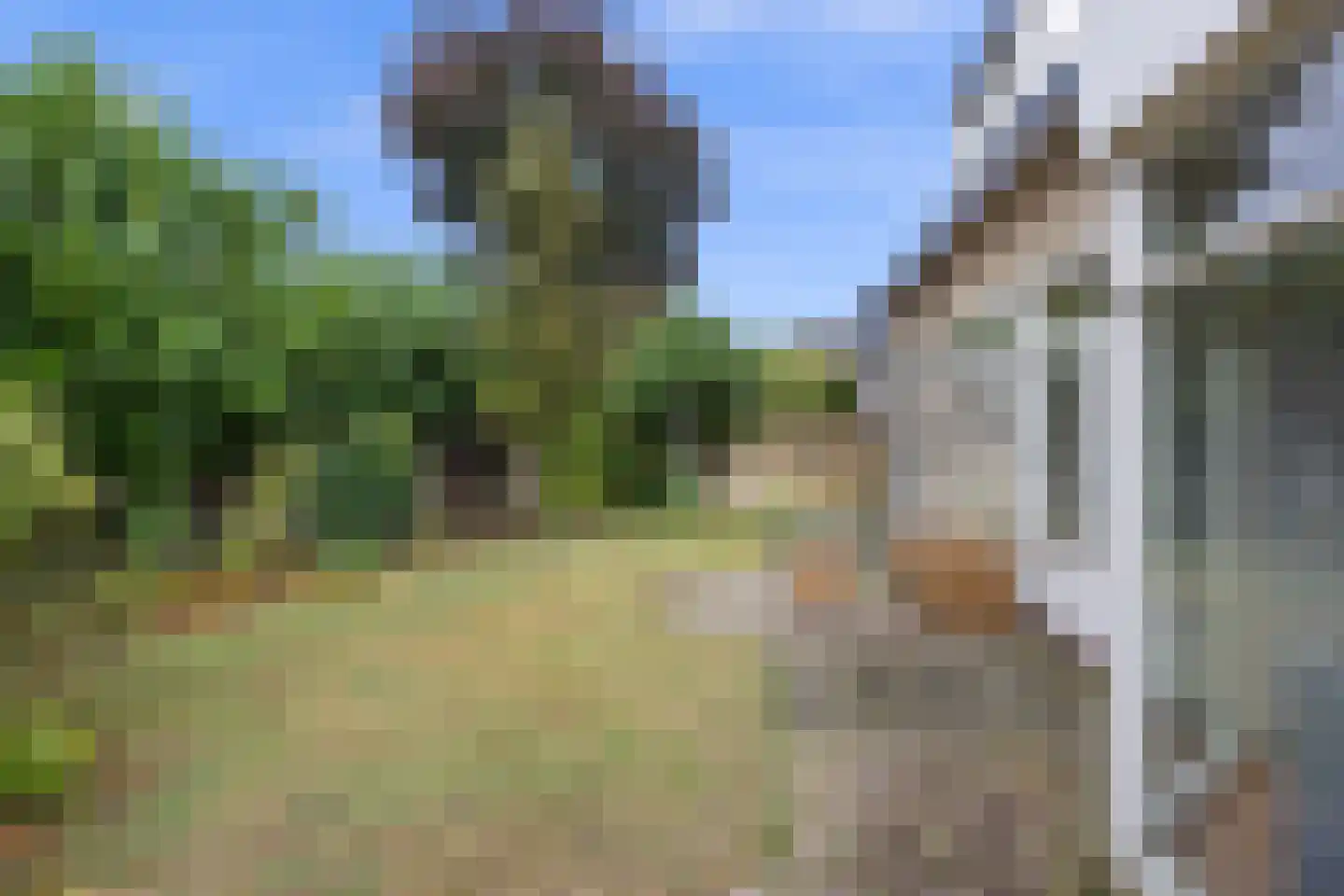 Beekstraat 5 Berlicum thumbnail 35