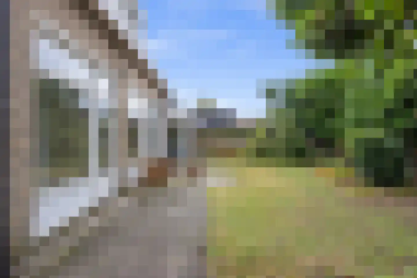 Beekstraat 5 Berlicum thumbnail 36