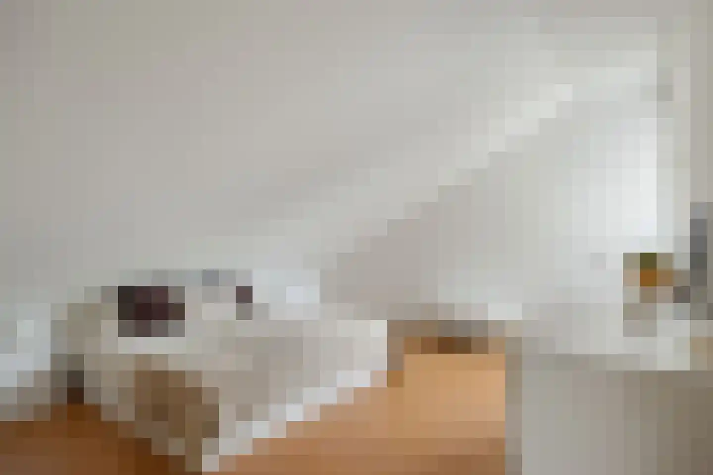Beekstraat 5 Berlicum thumbnail 47