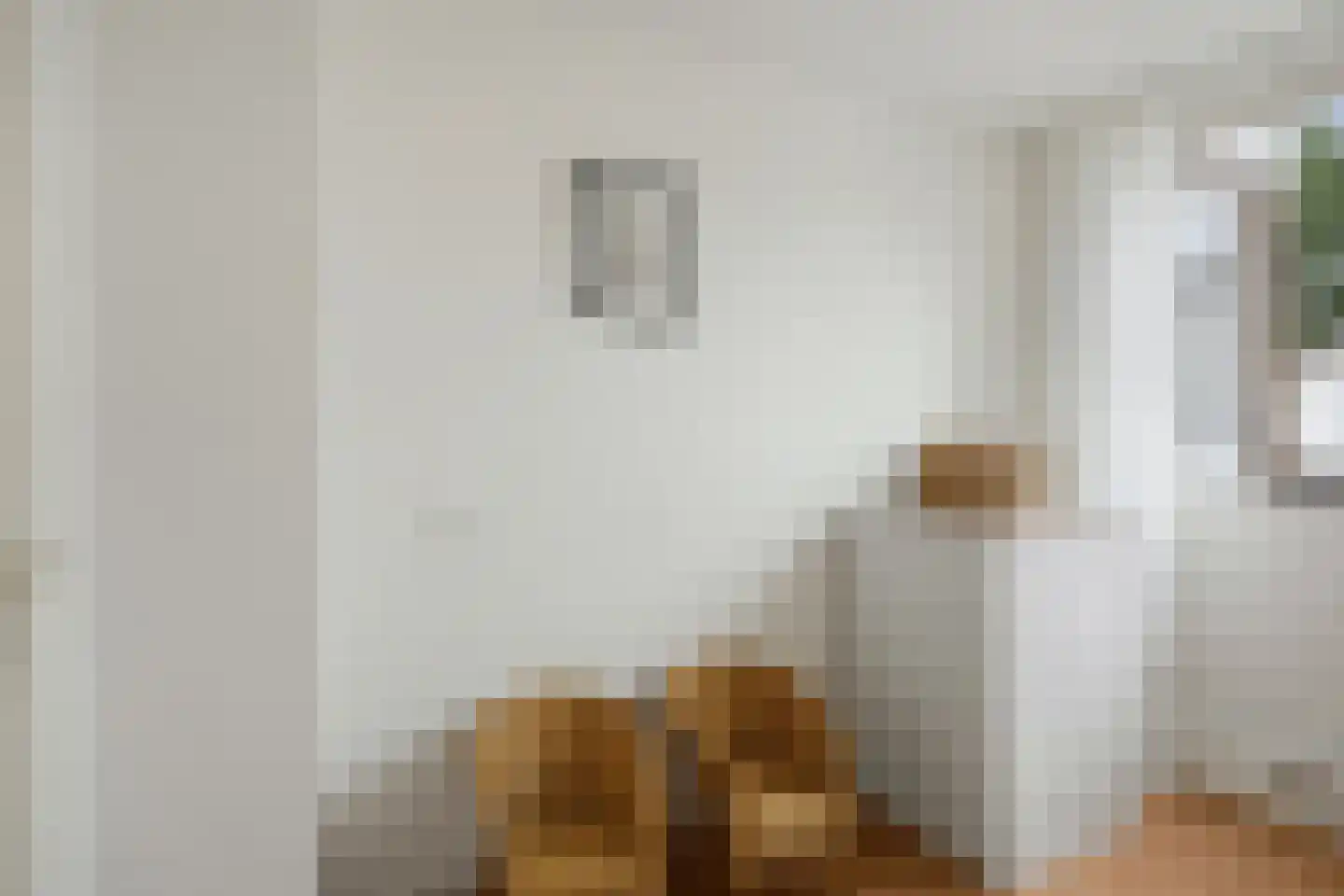 Beekstraat 5 Berlicum thumbnail 50