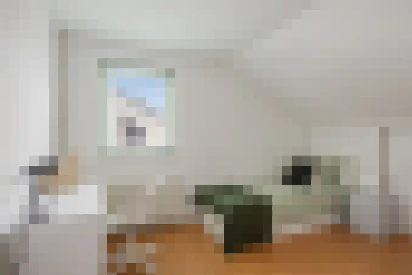 Beekstraat 5 Berlicum thumbnail 51