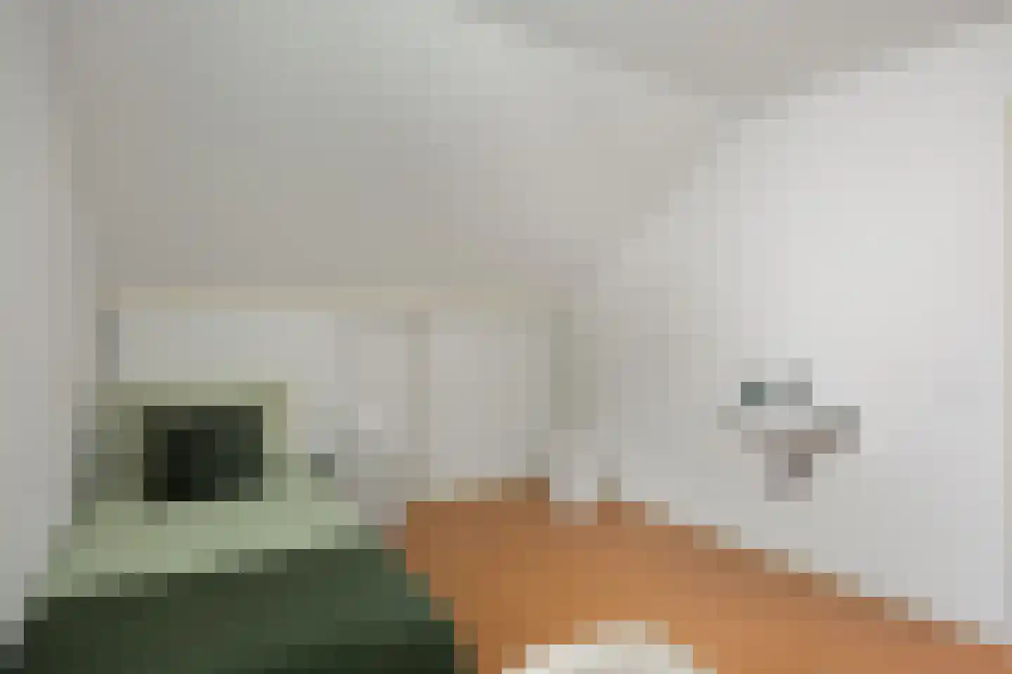 Beekstraat 5 Berlicum thumbnail 52