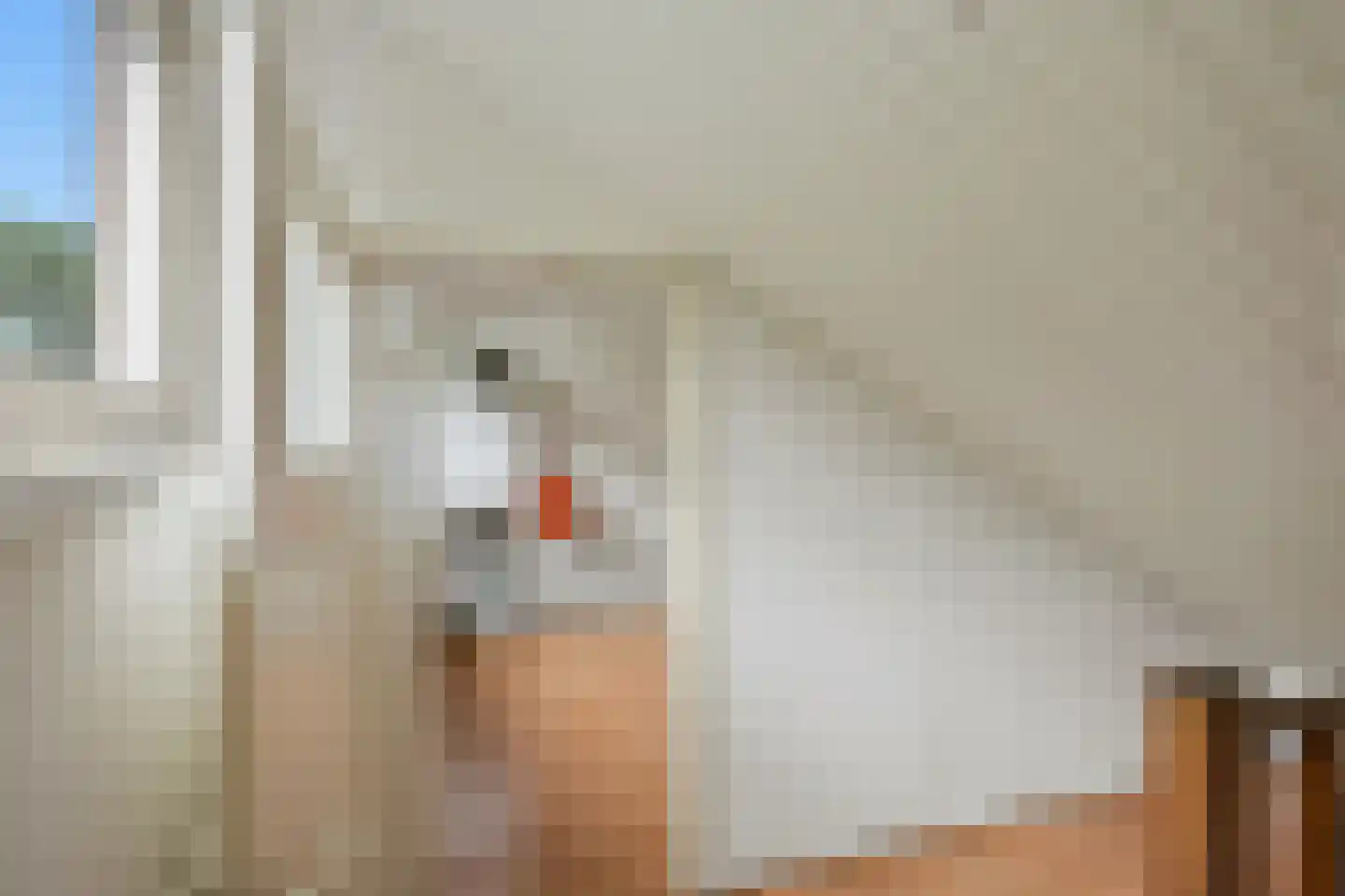 Beekstraat 5 Berlicum thumbnail 53