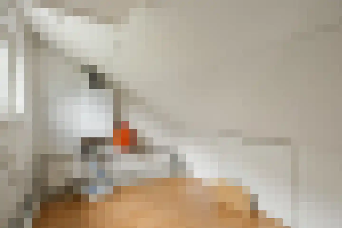 Beekstraat 5 Berlicum thumbnail 54