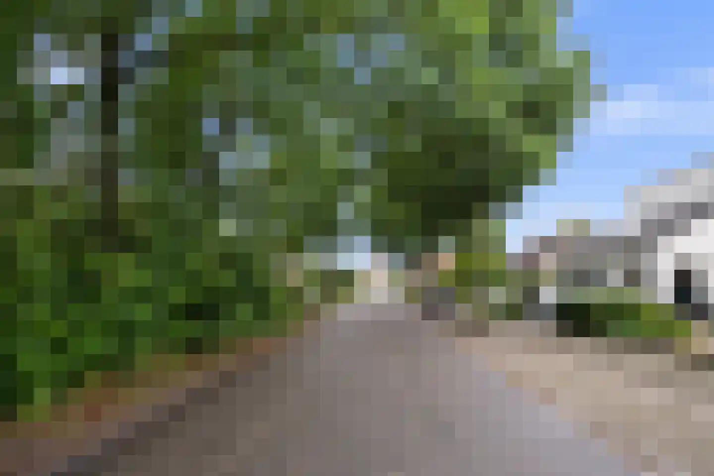 Beekstraat 5 Berlicum thumbnail 59