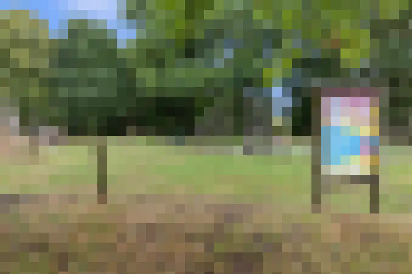Beekstraat 5 Berlicum thumbnail 61