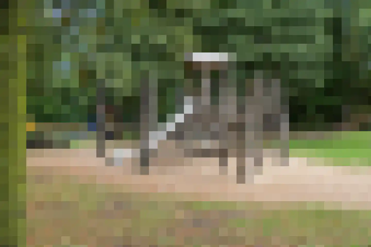 Beekstraat 5 Berlicum thumbnail 62