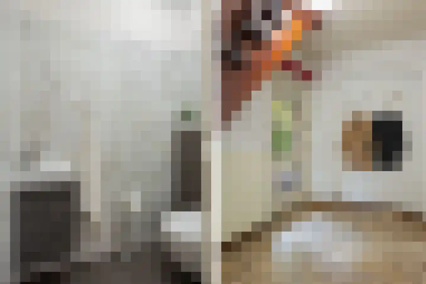 Beekstraat 5 Berlicum thumbnail 9