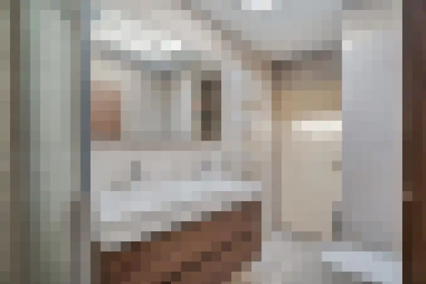 Beekstraat 51 Elburg thumbnail 53