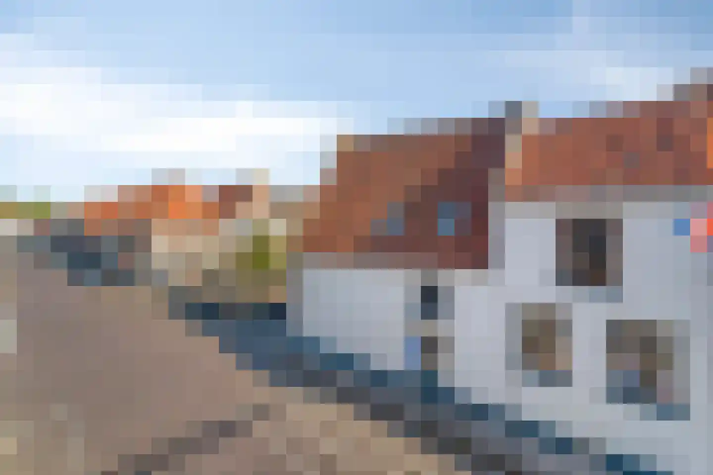 Beekstraat 51 Elburg thumbnail 9