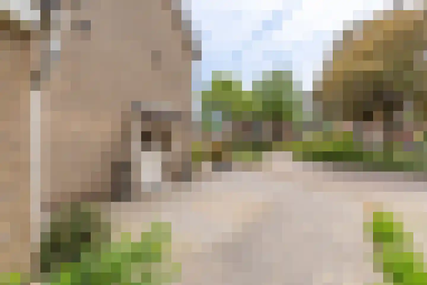 Beekstraat 53 Vierlingsbeek thumbnail 10