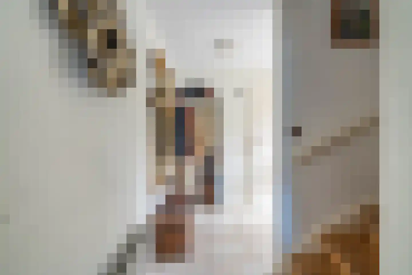 Beekstraat 53 Vierlingsbeek thumbnail 32