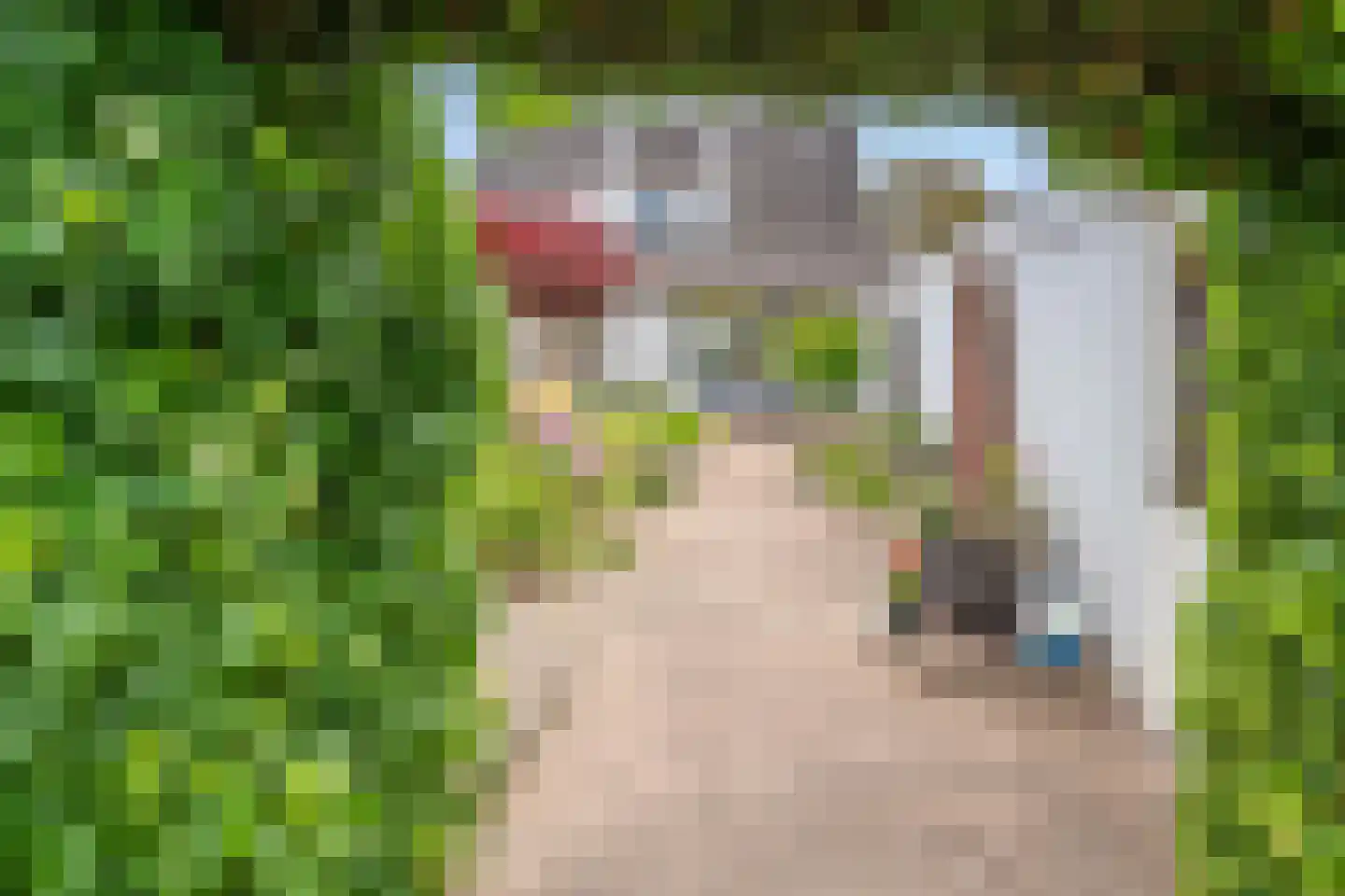 Beekstraat 53 Vierlingsbeek thumbnail 4