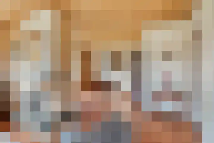 Beekstraat 56 Gaanderen thumbnail 12
