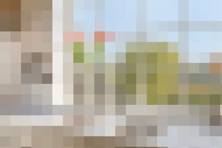 Beekstraat 56 Gaanderen thumbnail 15