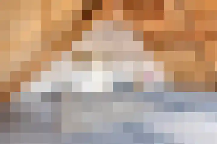 Beekstraat 56 Gaanderen thumbnail 30