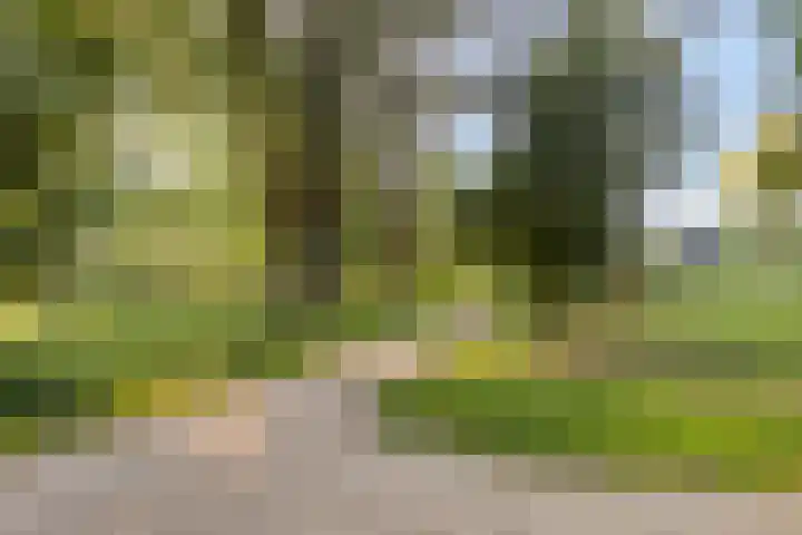 Beekstraat 56 Gaanderen thumbnail 40