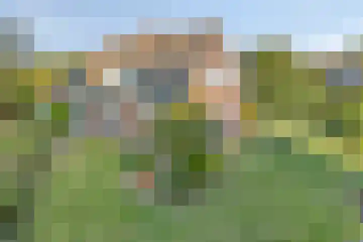 Beekstraat 56 Gaanderen thumbnail 5