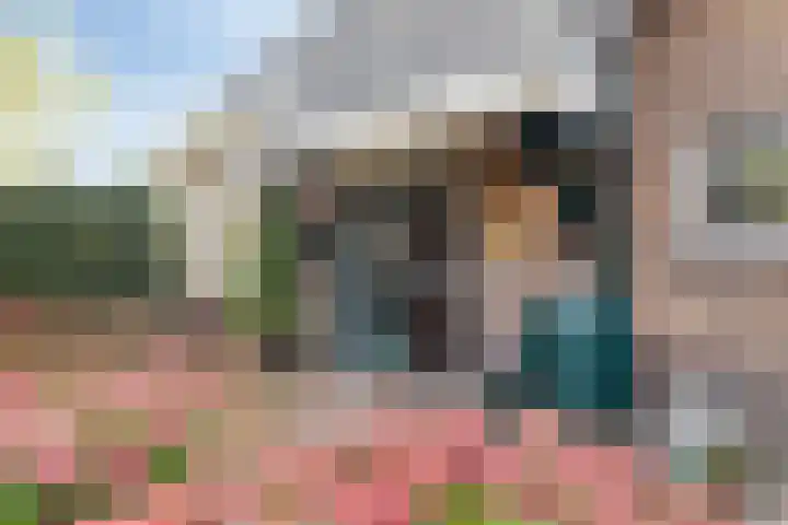 Beekstraat 56 Gaanderen thumbnail 7
