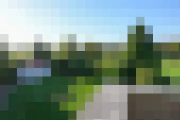 Beekstraat 56 Geleen thumbnail 20
