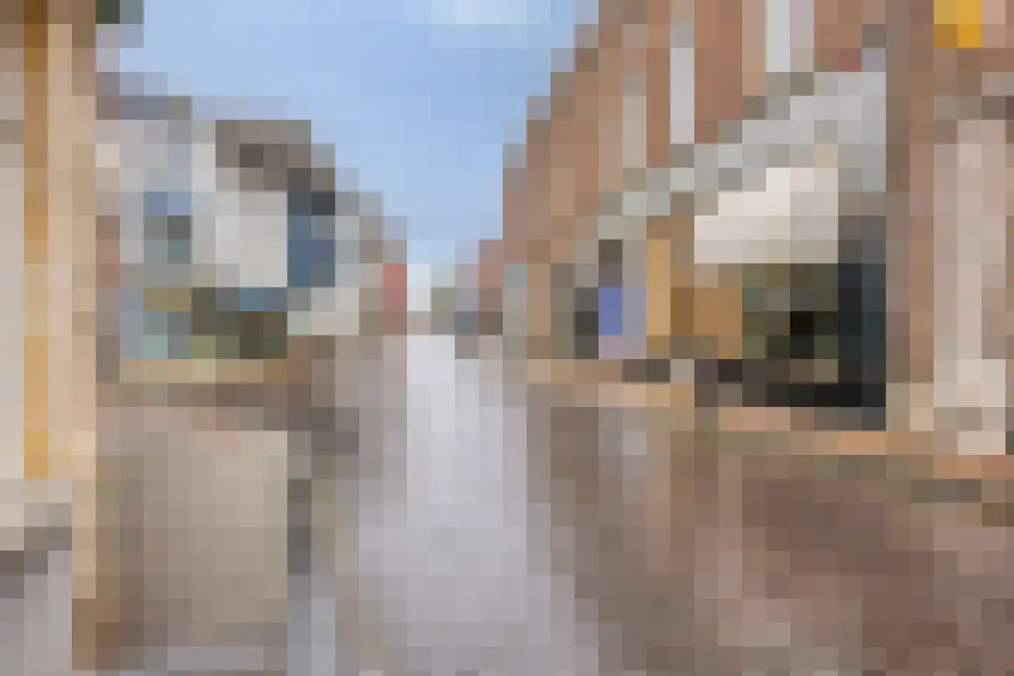 Beekstraat 60 c Meerssen thumbnail 4