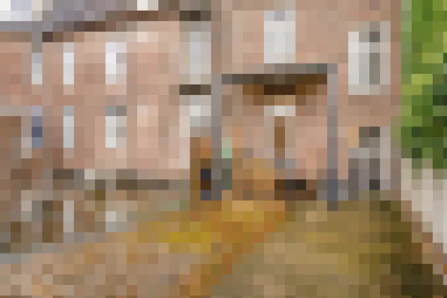 Beekstraat 60 Meerssen thumbnail 36