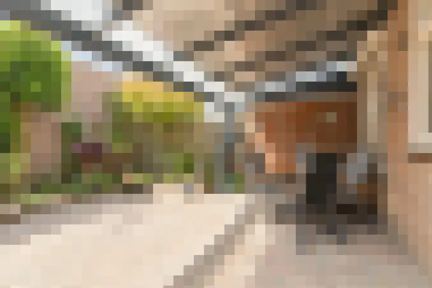 Beekstraat 64 Vierlingsbeek thumbnail 28