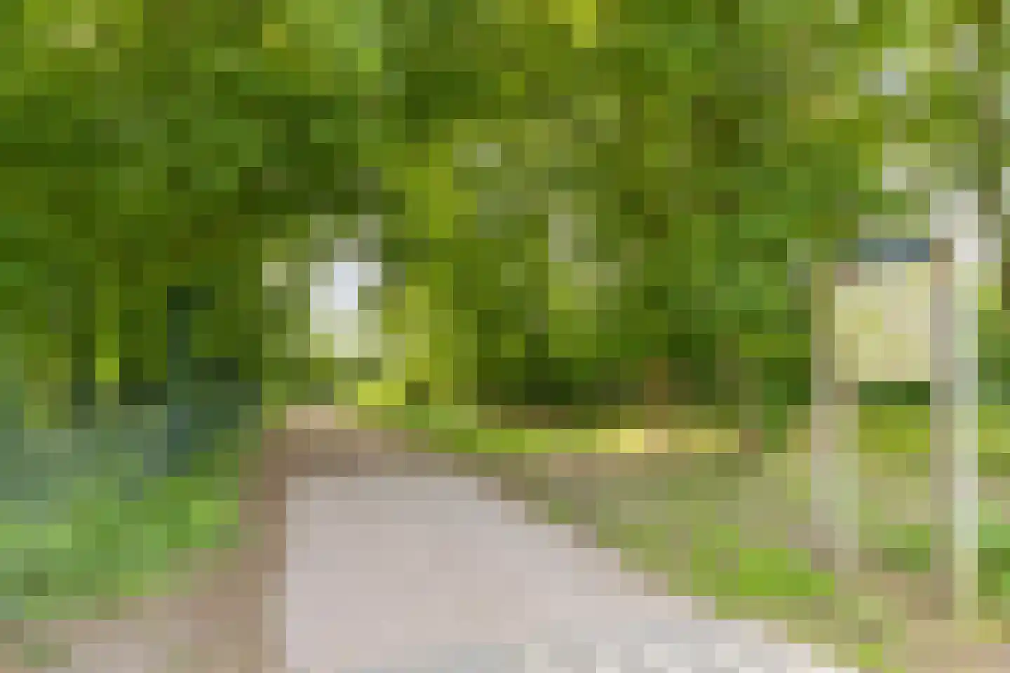 Beekstraat 64 Vierlingsbeek thumbnail 33