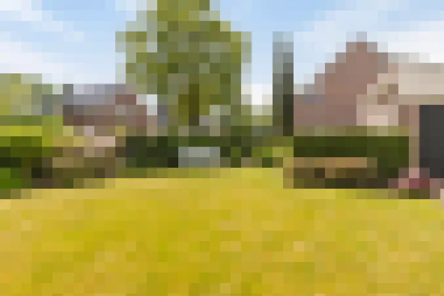 Beekstraat 64 Vierlingsbeek thumbnail 4