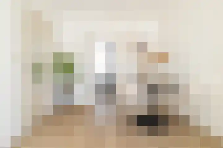 Beekstraat 7 A Breda thumbnail 9