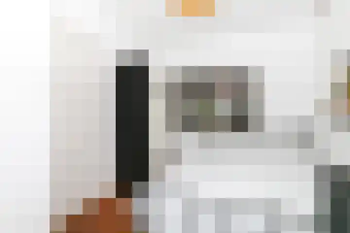 Beekstraat 7 Breda thumbnail 18