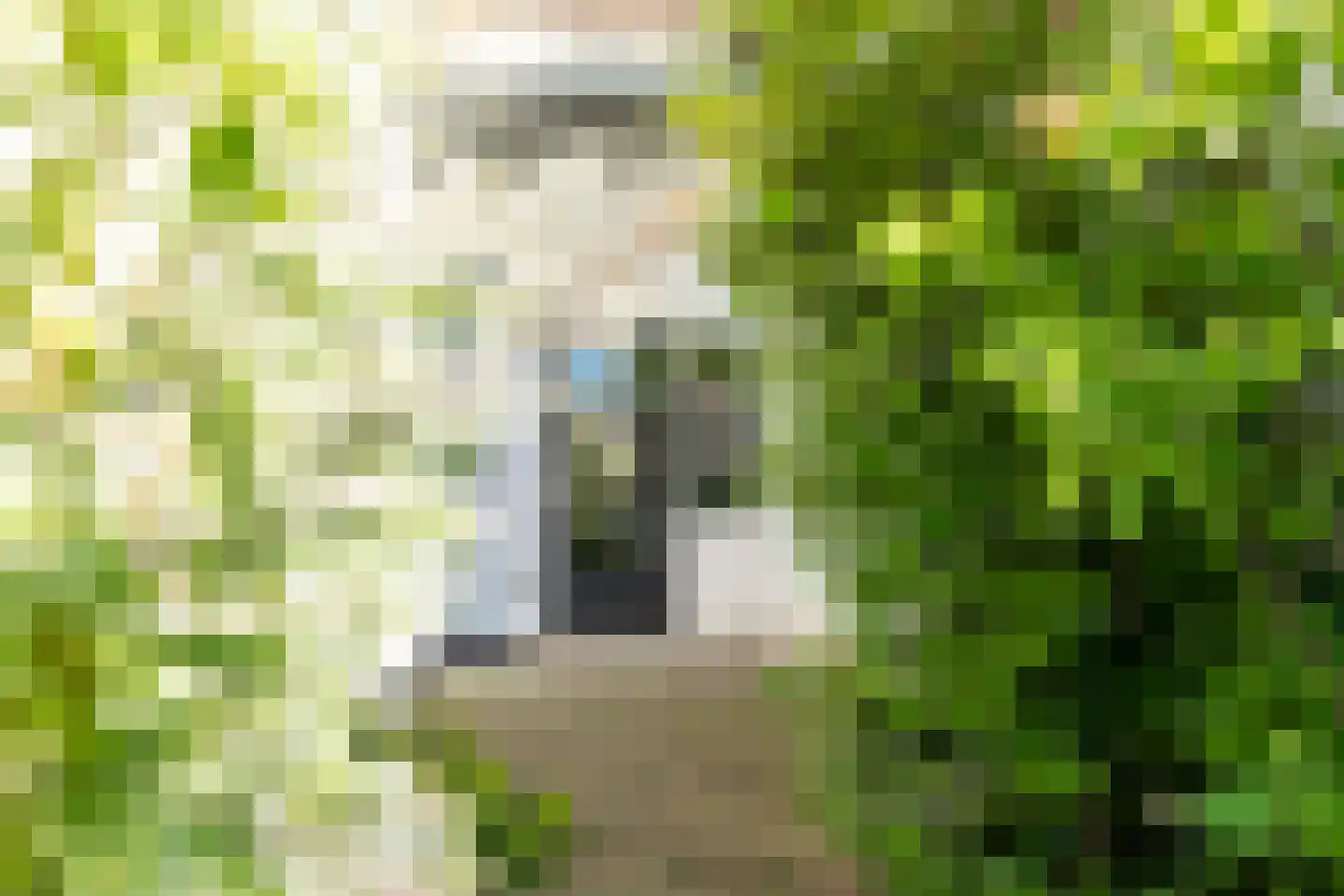 Beekstraat 7 Breda thumbnail 22