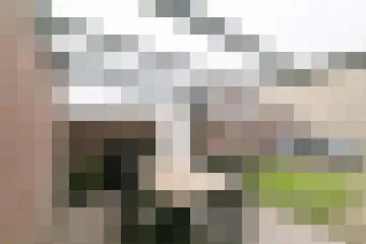 Beekstraat 7 Breda thumbnail 25