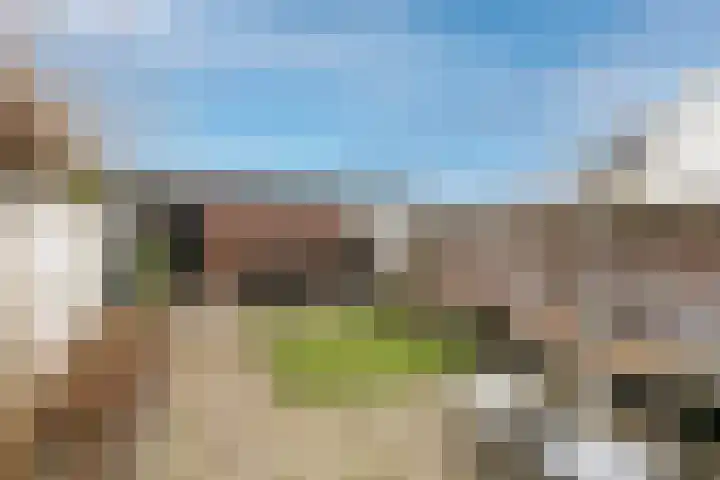 Beekstraat 7 Breda thumbnail 4