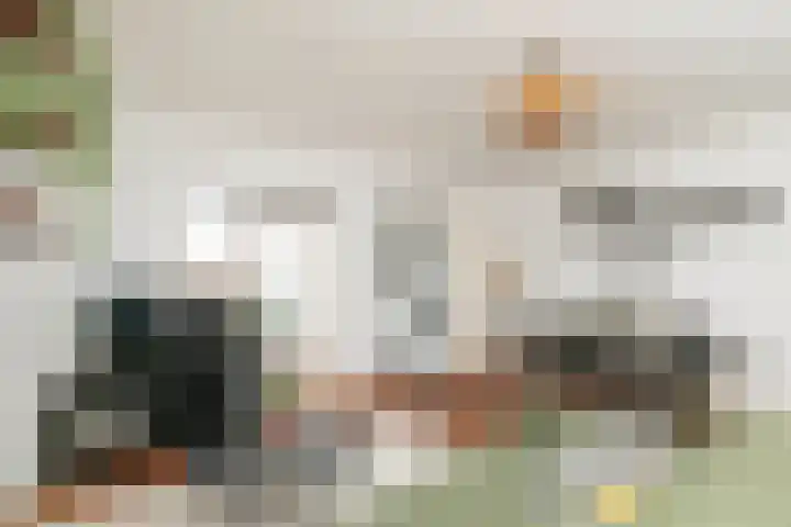 Beekstraat 7 Breda thumbnail 8