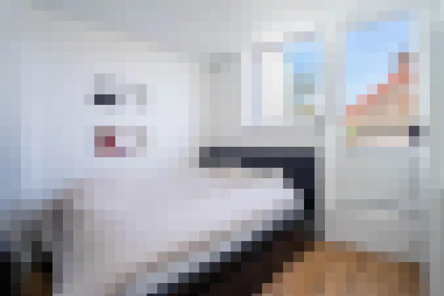 Beekstraat 70 Breda thumbnail 19