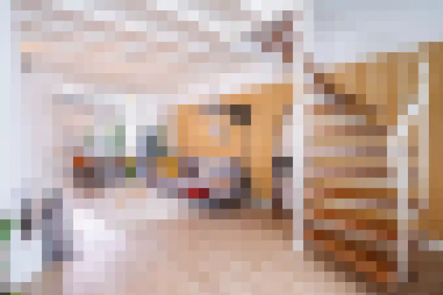 Beekstraat 70 Breda thumbnail 7
