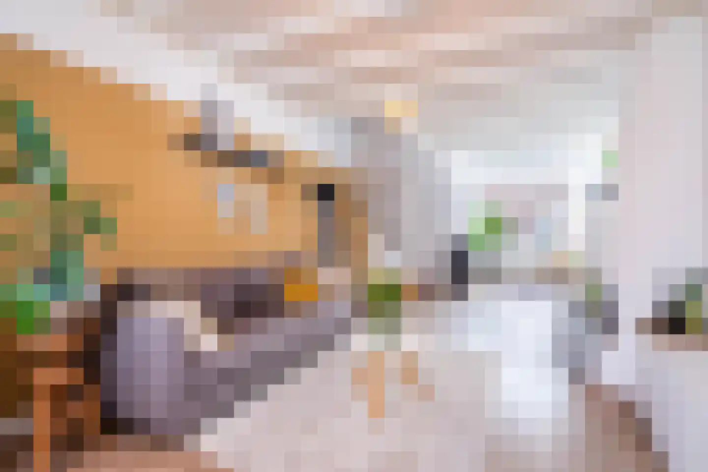 Beekstraat 70 Breda thumbnail 9