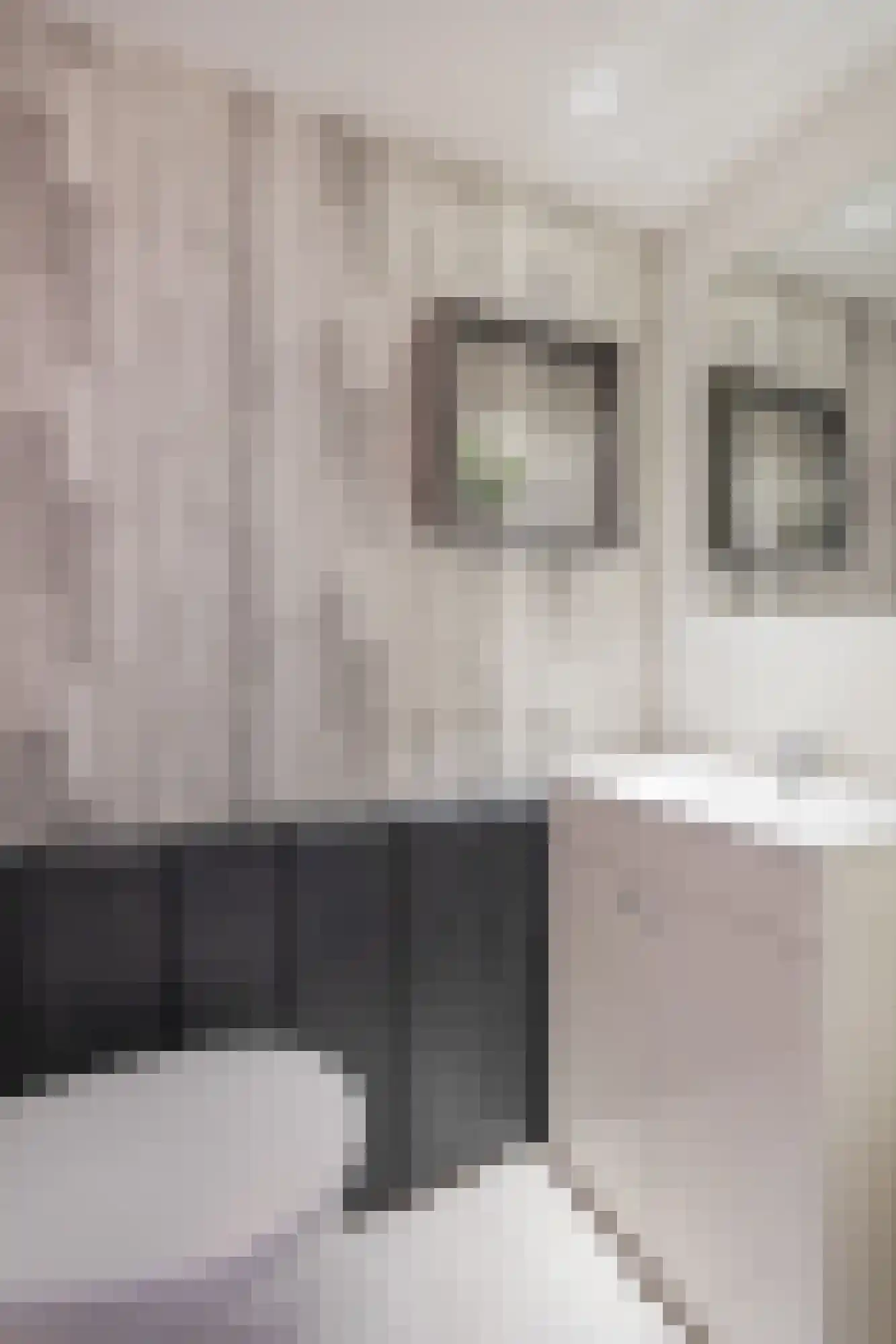 Beekstraat 84 Gaanderen thumbnail 27