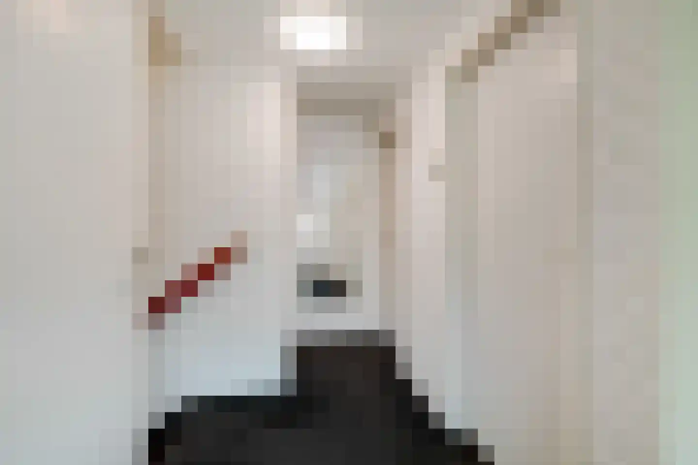 Beekstraat 84 Gaanderen thumbnail 37