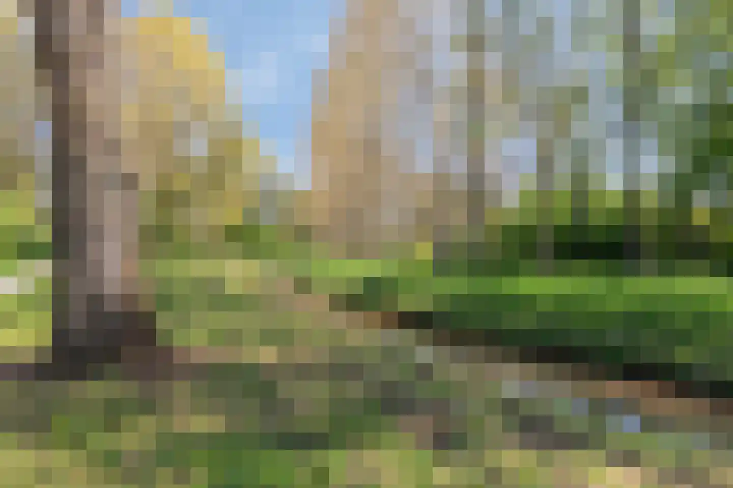 Beekstraat 84 Gaanderen thumbnail 4