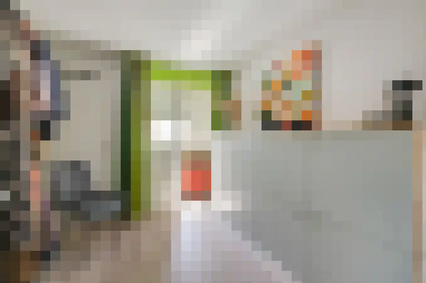 Beekstraat 84 Gaanderen thumbnail 40