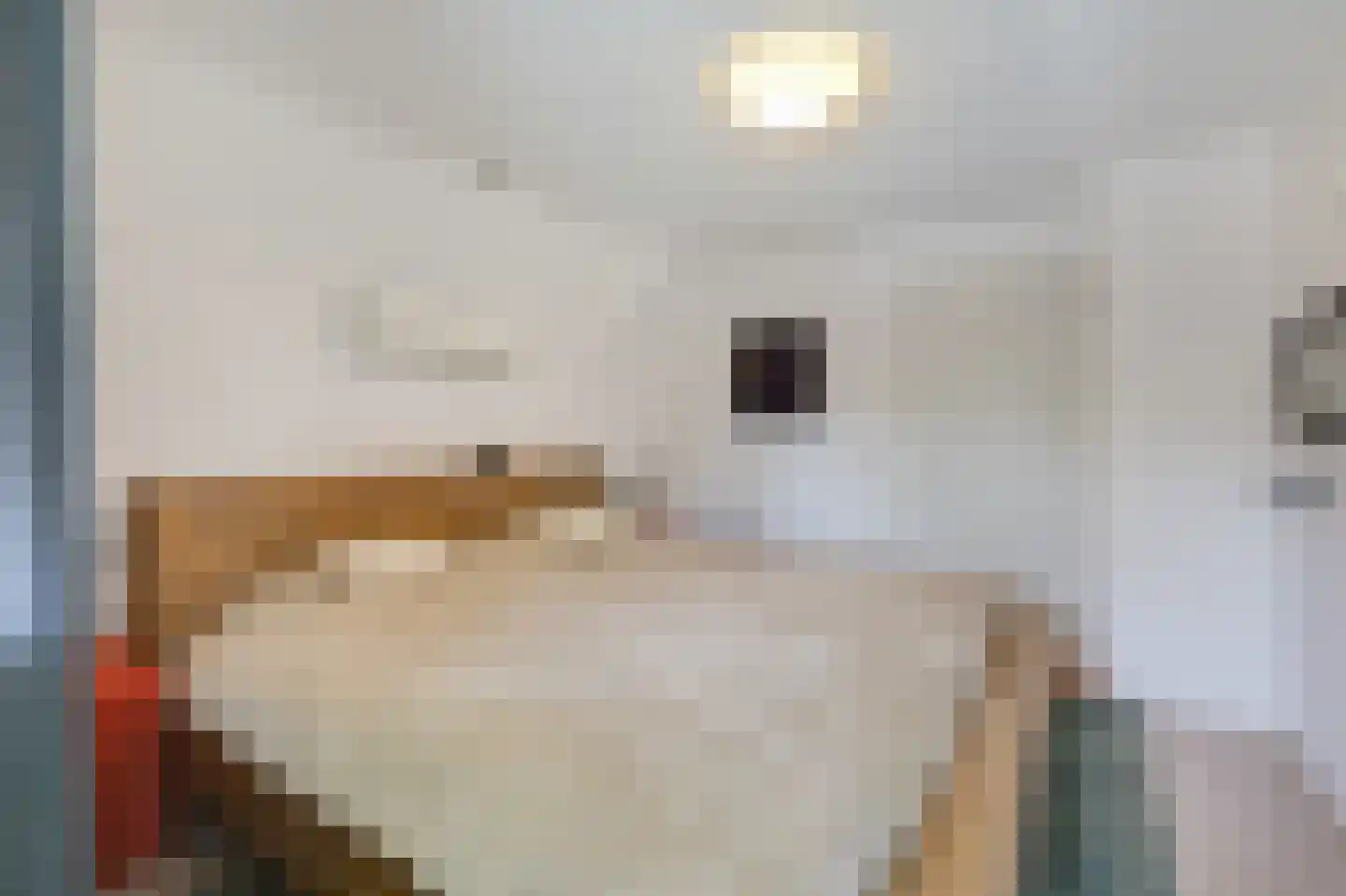 Beekstraat 84 Gaanderen thumbnail 43