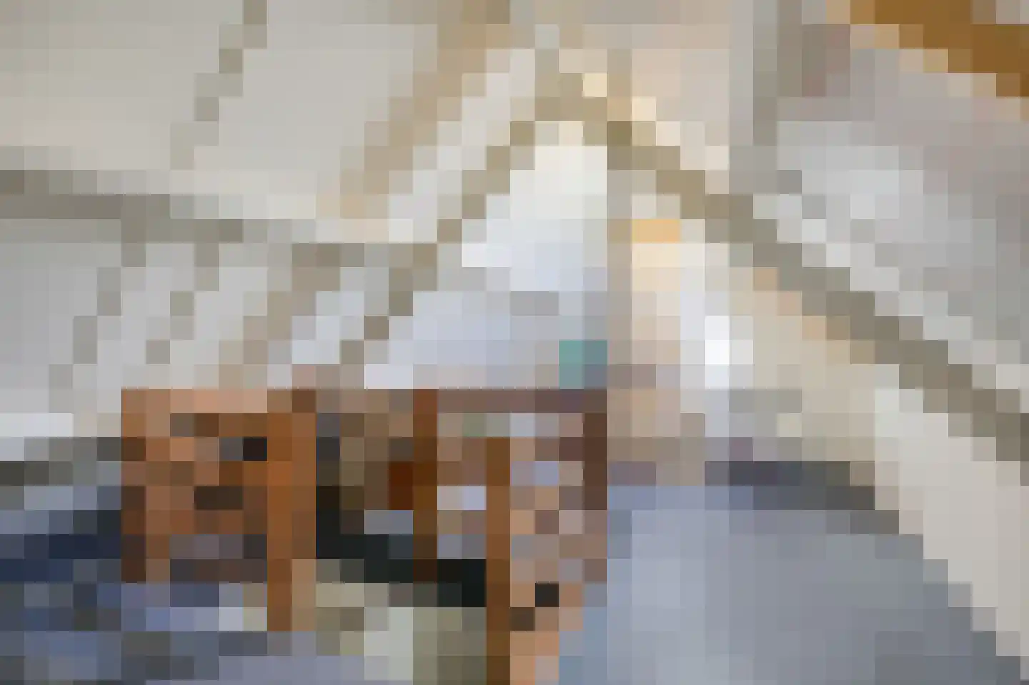 Beekstraat 84 Gaanderen thumbnail 49