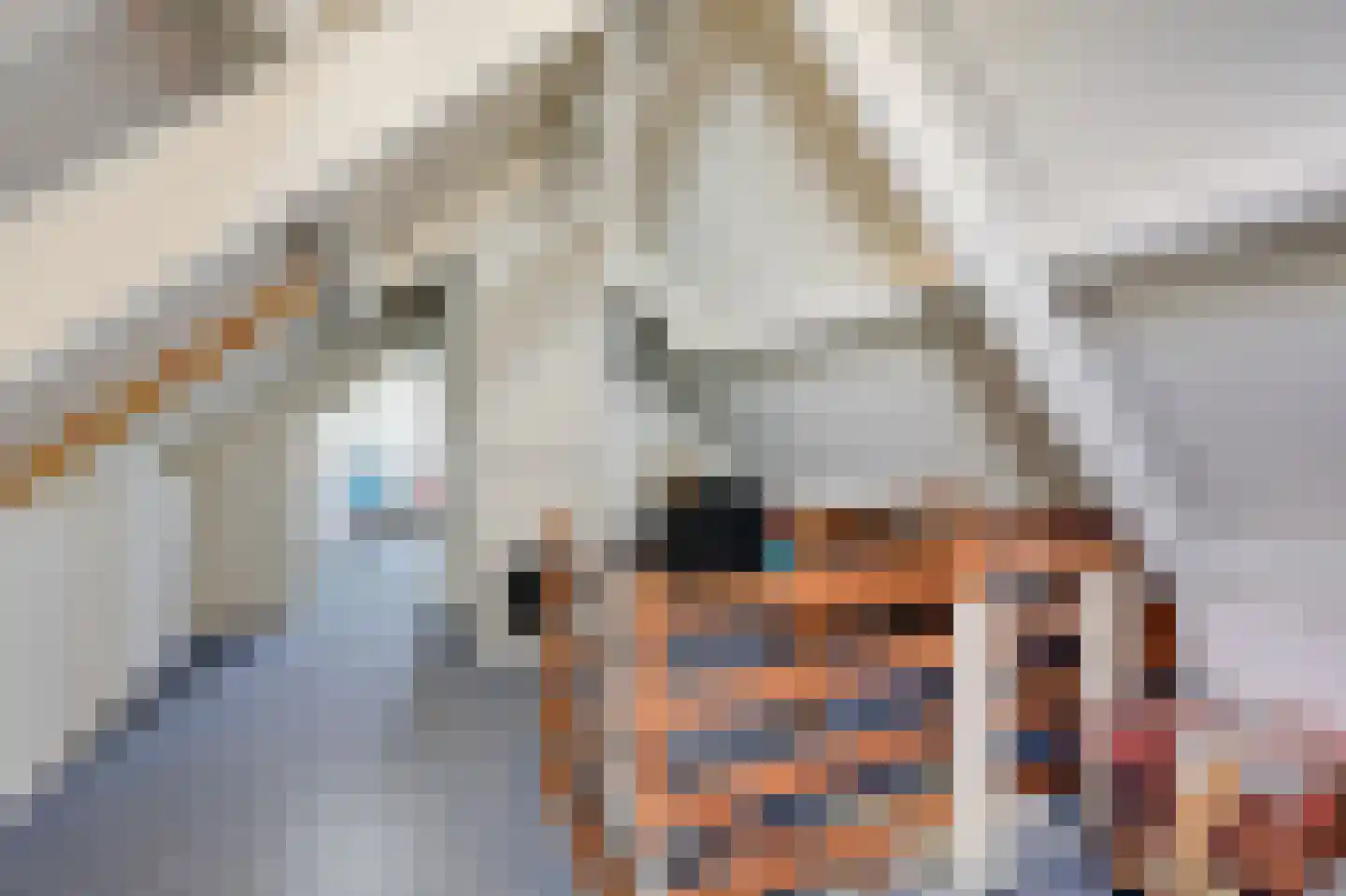 Beekstraat 84 Gaanderen thumbnail 50