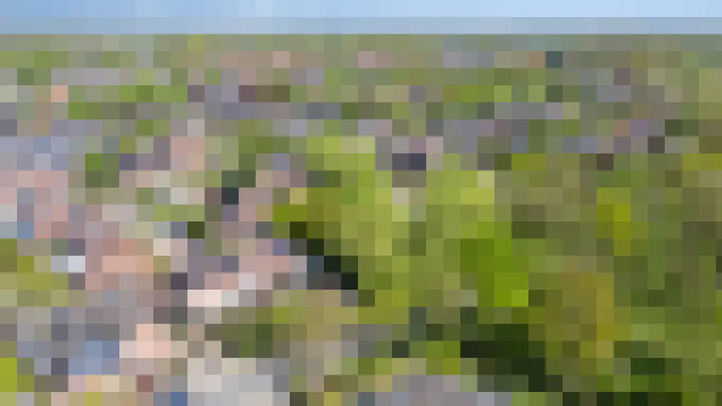 Beekstraat 84 Gaanderen thumbnail 57