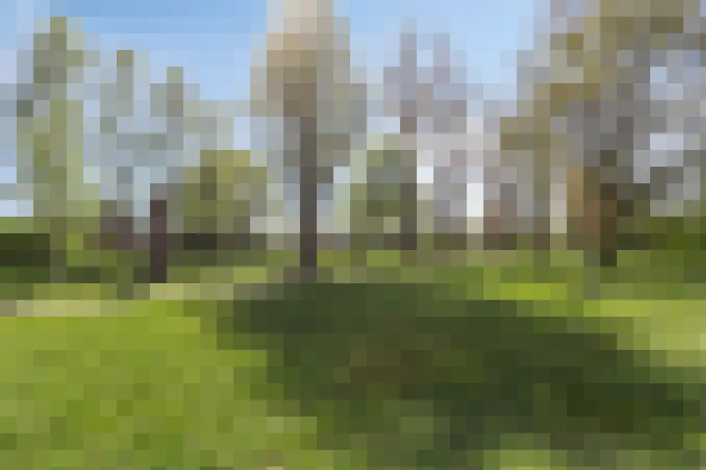 Beekstraat 84 Gaanderen thumbnail 60