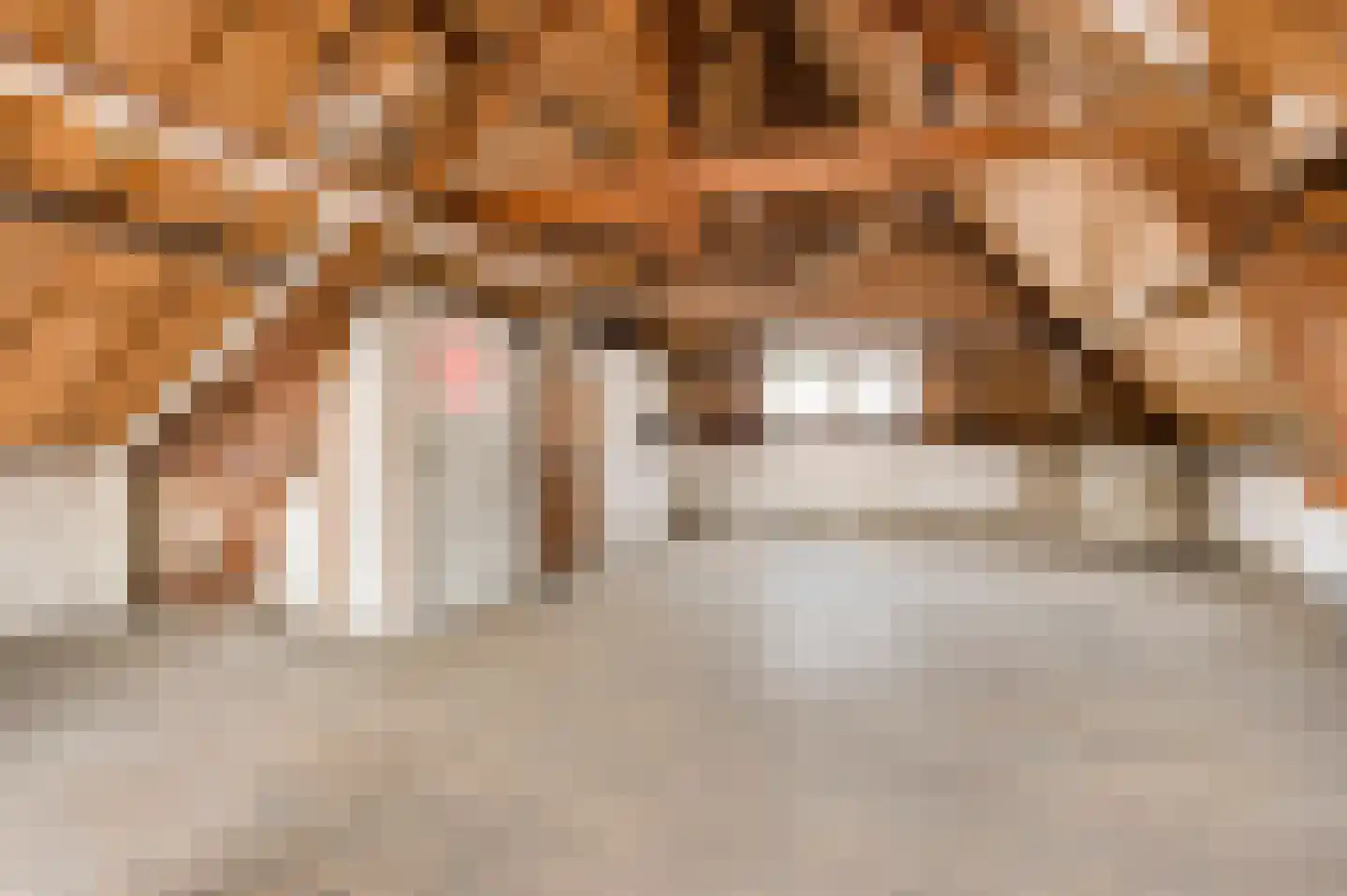 Beekstraat 85 Weert thumbnail 4