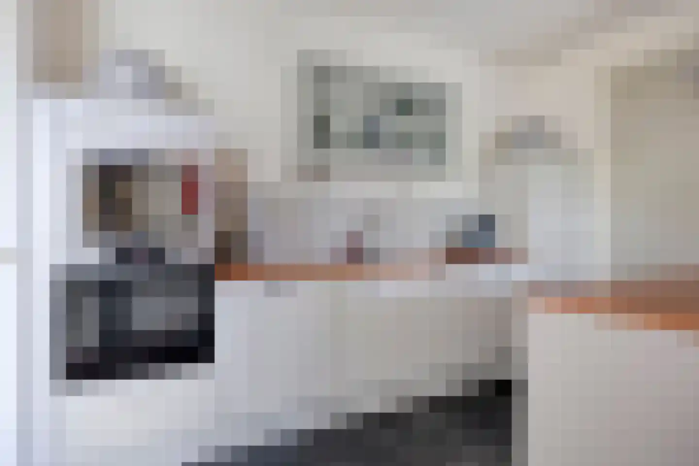 Beekveld 44 Gemert thumbnail 21