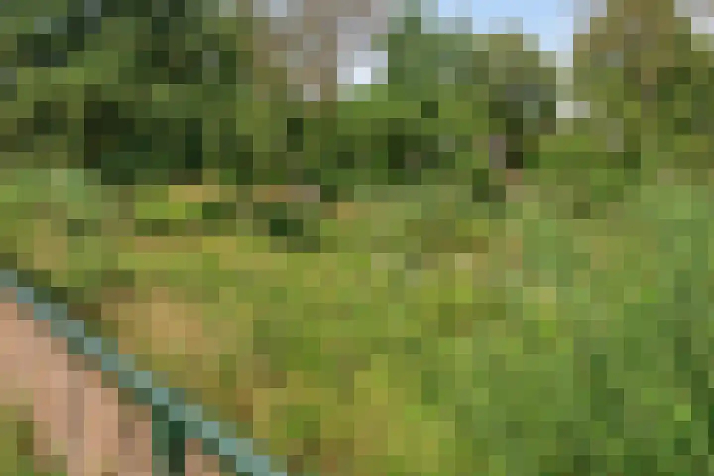 Beekveld 44 Gemert thumbnail 45